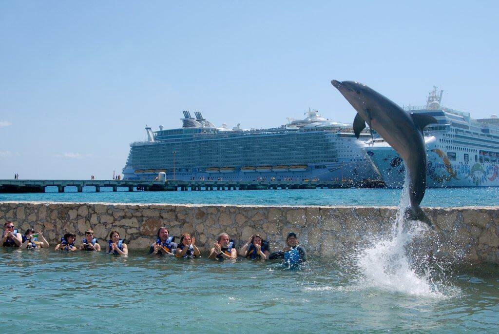 costa maya cruise port dolphin