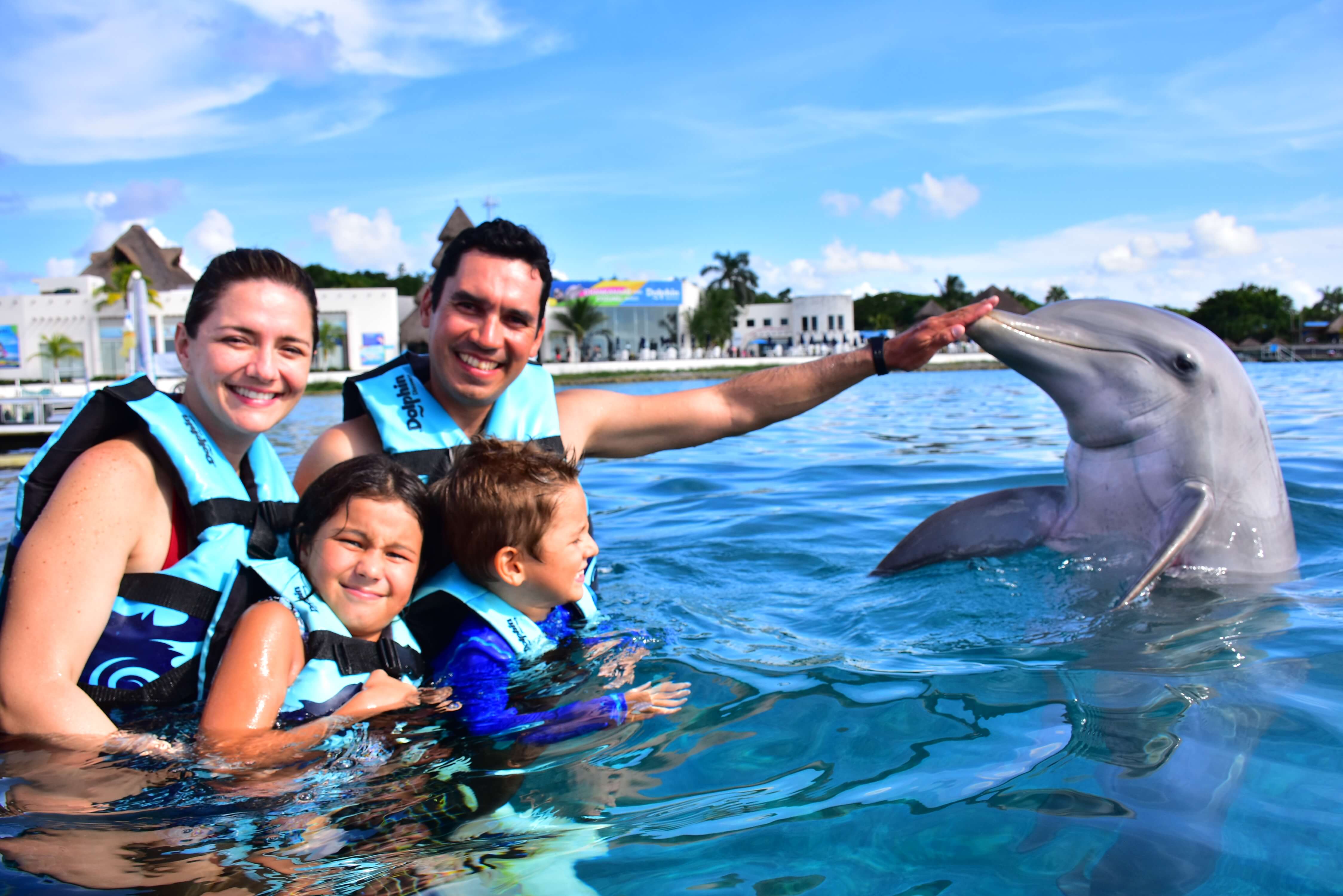 best dolphin excursion cozumel