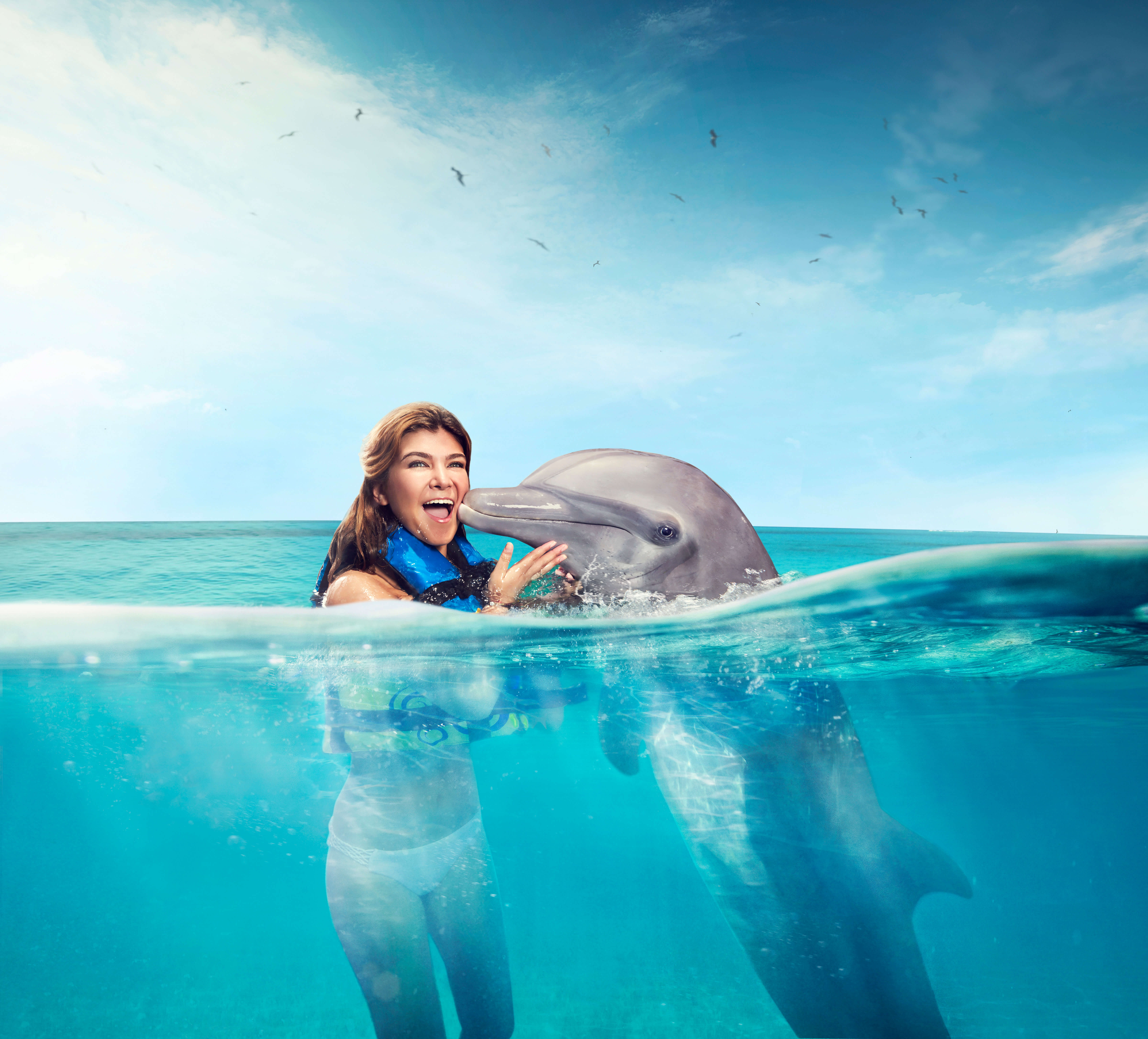 costa maya dolphin excursions