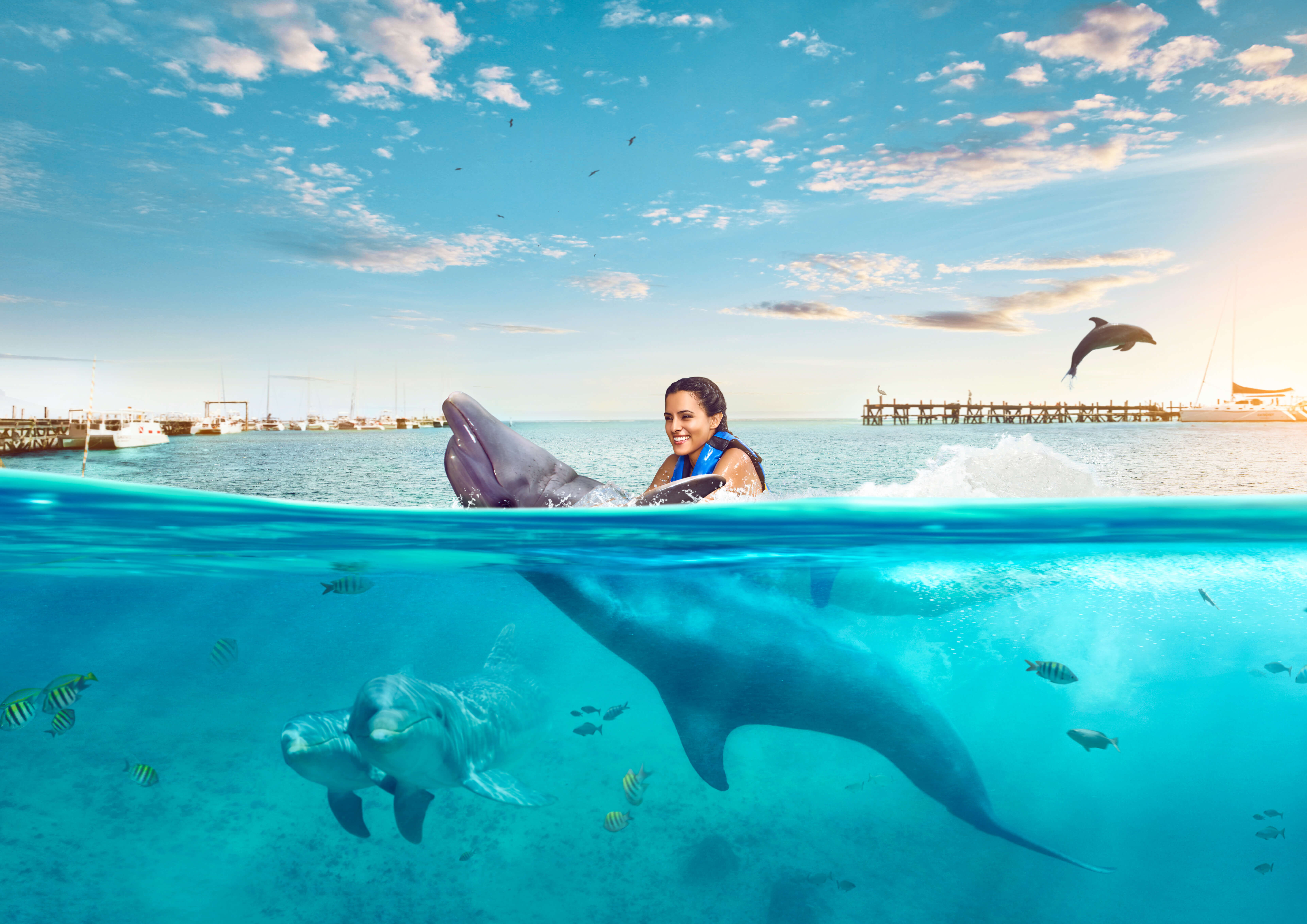 Moon palace cancun dolphin swim